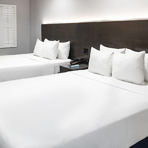 Queen Room Two Queen Beds Non-Smoking
